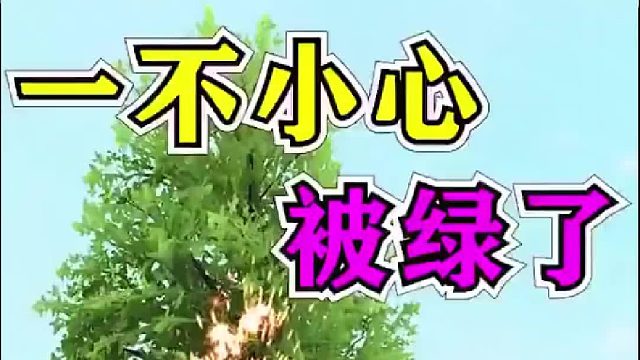 一不小心被绿了