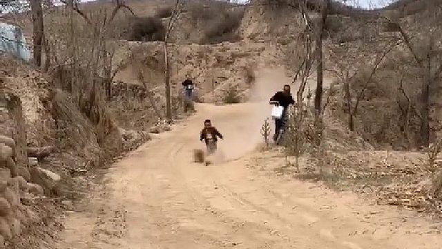 据说这种浮土治脚气效果很好的