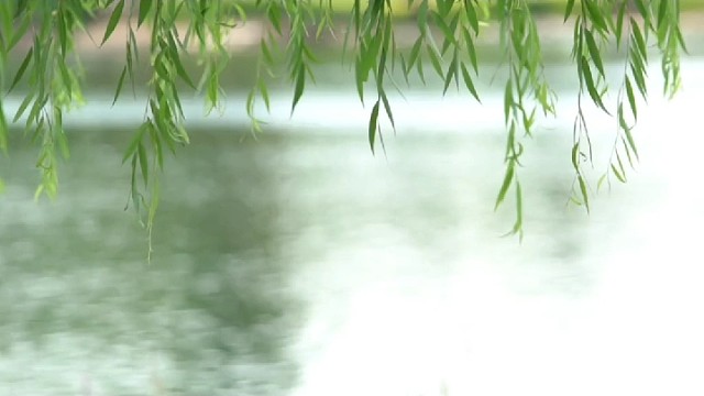 摩托车无视交通信号灯想避开已来不及