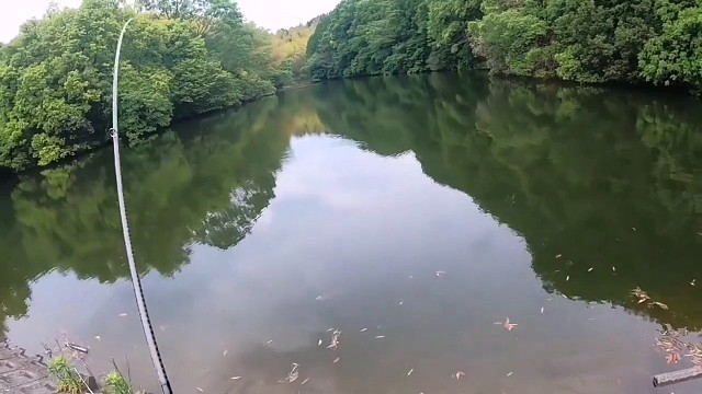 好山好水，钓大鱼