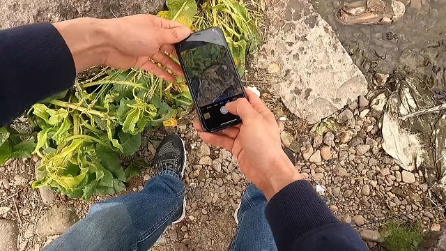 不要急，钓上来先拍个照