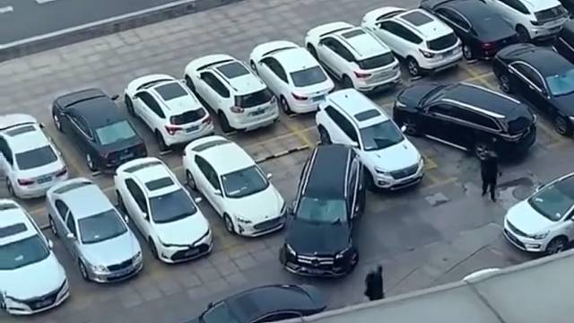 车大怎么都开不出去#车技#开车大神#汽车