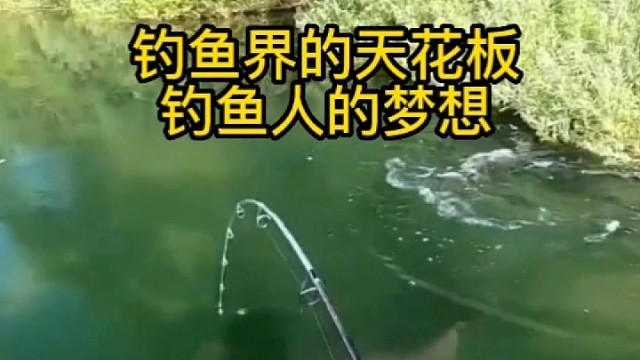 钓鱼界的天花板钓鱼人的梦想