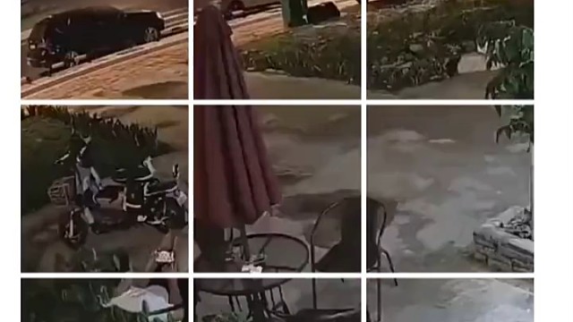 小伙你跑啥，我就想问问你咋练的铁头功