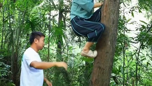 夏天的农村真好，白天有麥蝇，竹林里有花蚊子，晚上田里的蛙鸣蛐蛐儿声也盖不住耳旁的蚊子千军万马的声音，