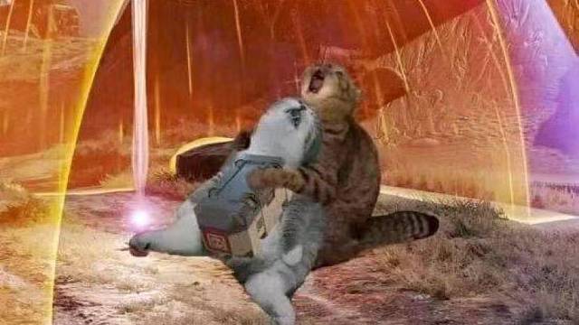 我跟冤种水友的欢乐日常