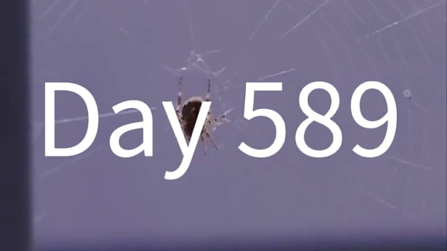 风总有一刻会停我们的热爱不会#