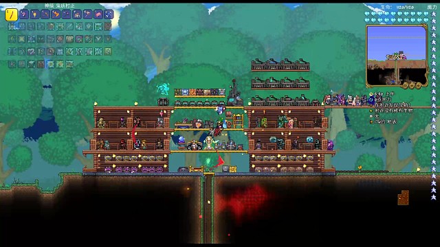 泰拉瑞亚灾厄盗贼生存（第六天4）