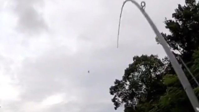 钓鱼界的天花板这条鱼比腿还长