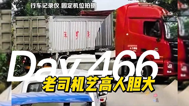 老司机艺高人胆大 网友：佩服佩服