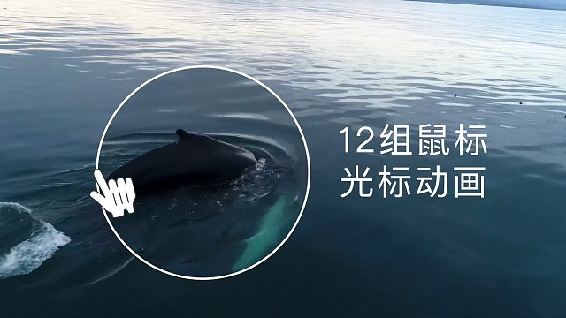 fcpx插件 12组鼠标光标动画 选择点击圈选框选放大局部动作等 Mouse Cursor