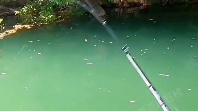 钓这鱼刺激吧