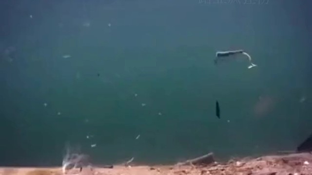 这个饵搭配风骚吧