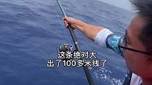 南海盘金枪，看来老板这回要后悔了#挑战进货式钓鱼 (19)