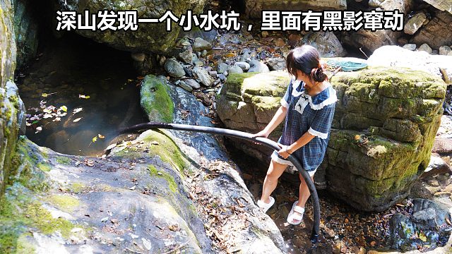 深山峡谷意外发现死水坑，里面有黑影窜动，没想到抽干水惊喜坏了