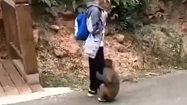 师父，你就带上俺老孙吧。。。