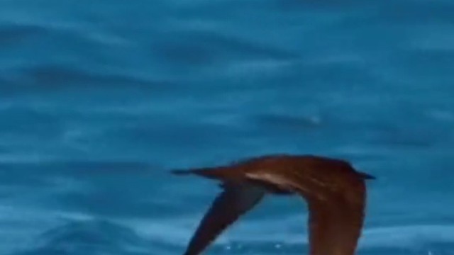 这是鱼竿不好吗