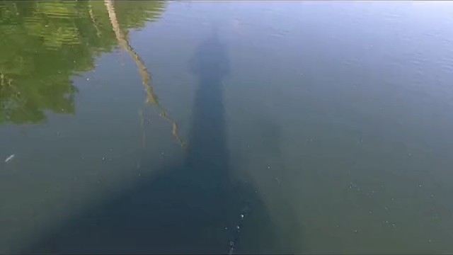 十秒搞定十斤大鱼