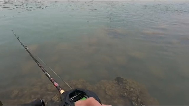 钓鱼就是这么简单