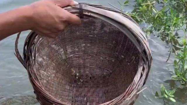 谁说竹篮打水一场空的？