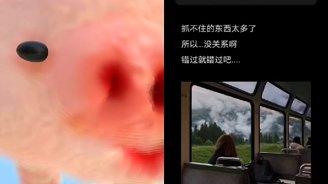 抓不住的东西太多了
所以…没关系啊
错过就错过叭