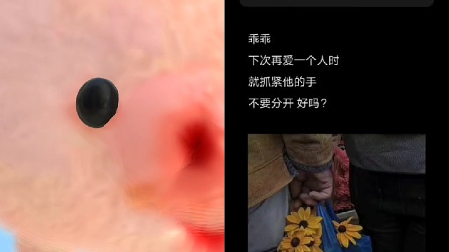 乖乖
下次再爱一个人时
就抓紧他的手不要分开
好吗