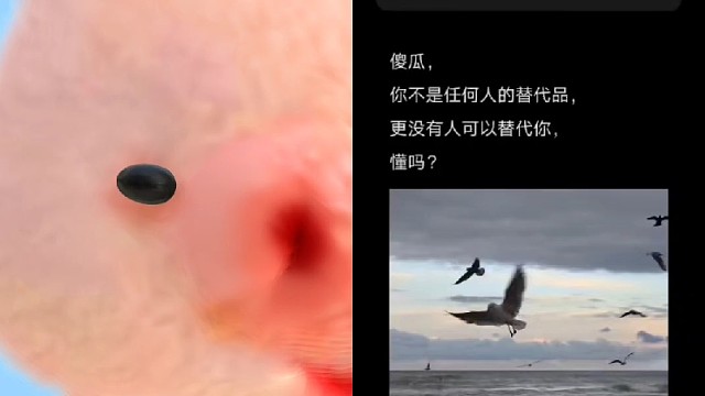 傻瓜
你不是任何人的替代品
更没有人可以替代你
懂吗