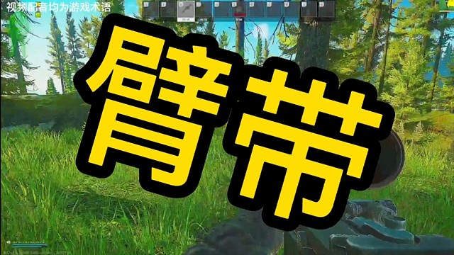 逃离塔科夫:老兵《臂带》