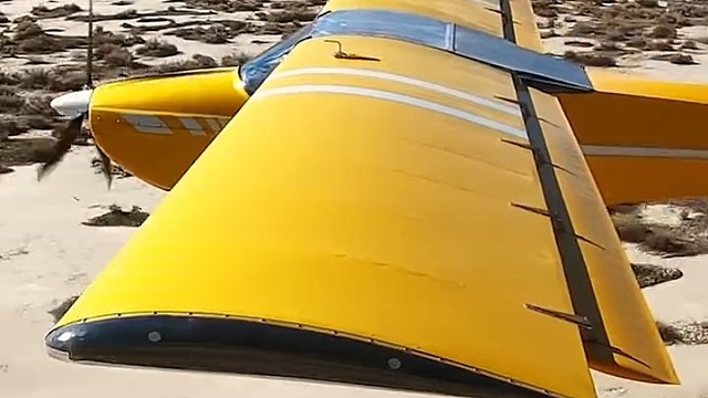 小趴菜，不准碰我的翅膀！