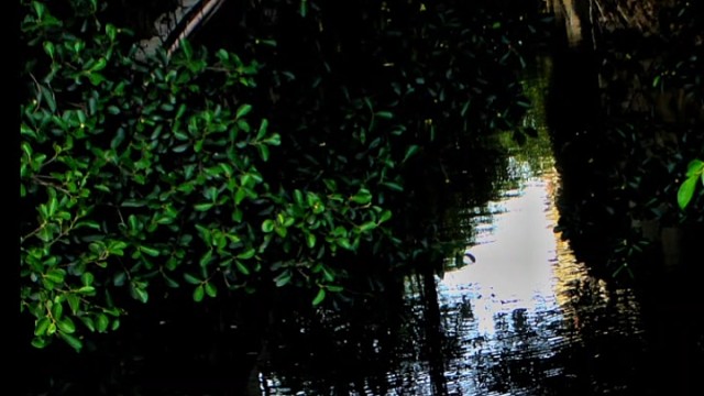 每周摄影分享-第一期