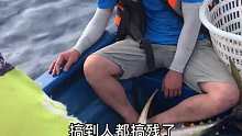 一条鱼就可以把一个人搞累趴了！海钓太过瘾了 (1)