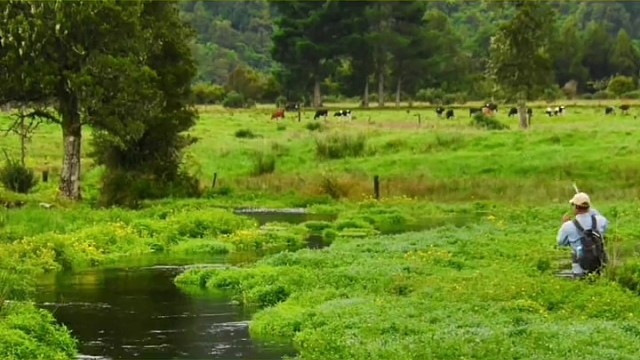 不要因为正事耽误了钓鱼