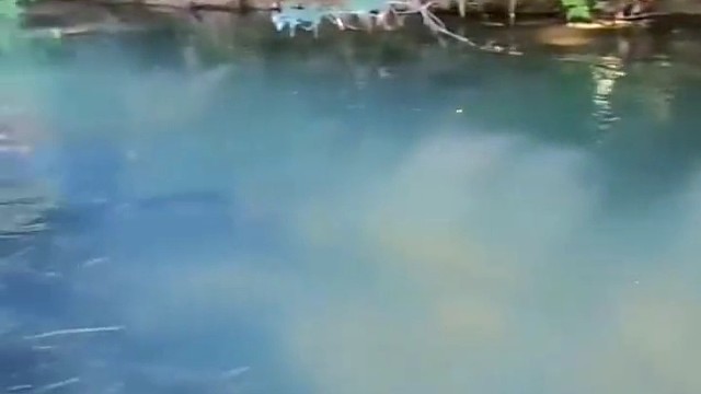 百年老妖又来了