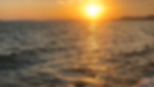 枯木也会逢春，你也会与美好相逢