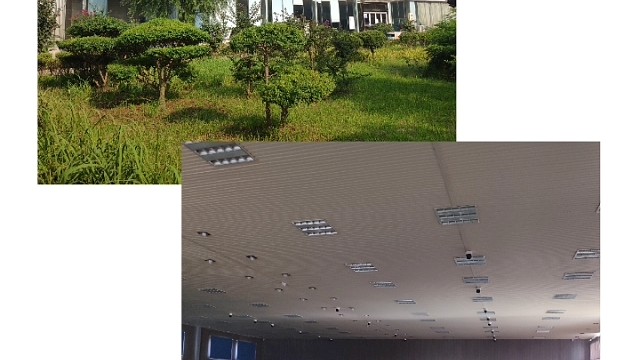 夏天已经结束了