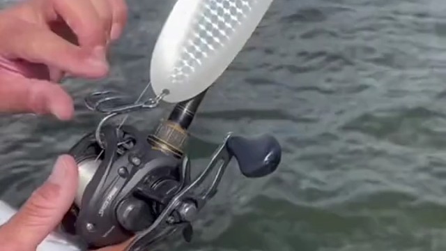 这样的鱼饵也能钓到鱼？