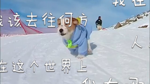 滑雪:坚持做自己，爱你的人一定会出现