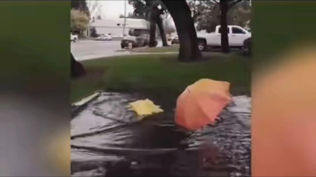 欢迎来到魔法世界，因为有你更精彩。