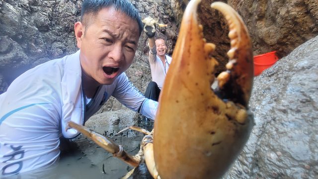 金秋八月赶海旺季，各种海鲜渔获争先回浅滩觅食，一次能抓一大桶