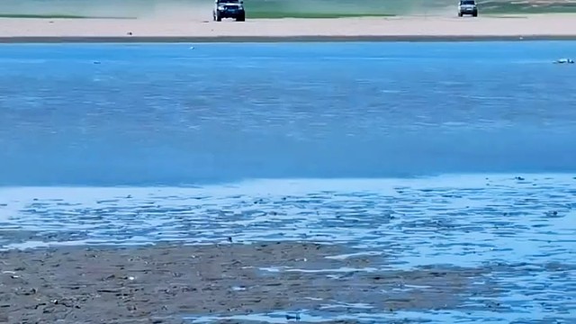 这对比真是强烈