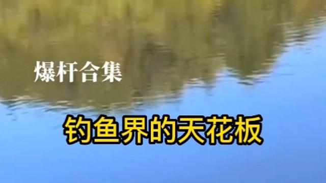 钓鱼界的天花板爆杆合集