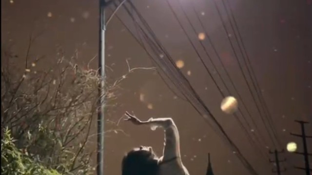 故事不长结局凄凉