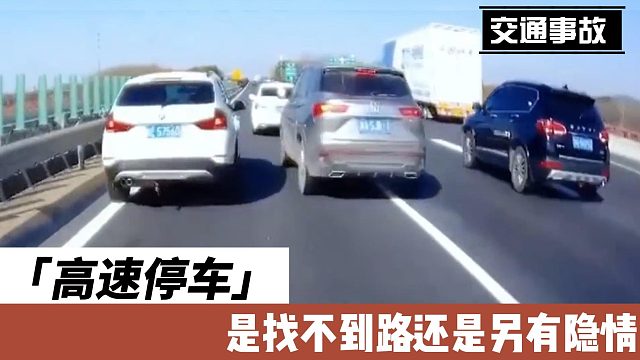 高速停车 是找不到路还是另有隐情