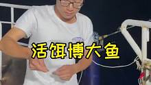 活饵博大鱼！守了3天终于让我逮到了一条 (1)