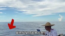 海钓碰到鱼群就是爽，几条几条的上实在是过瘾 (3)