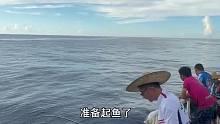 海钓碰到鱼群就是爽，几条几条的上实在是过瘾 (7)