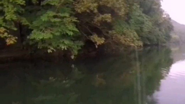 挂到树上不要急能中雨鱼就行