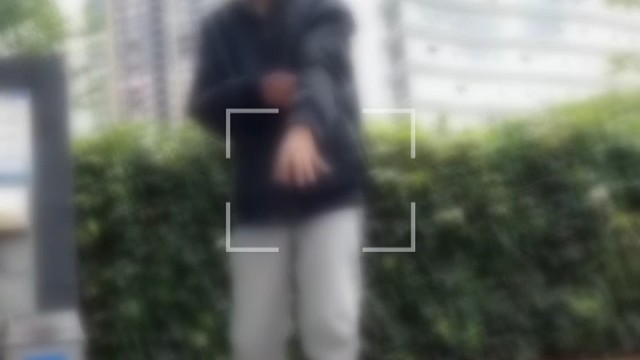 看看太阳橙的橙氏回旋