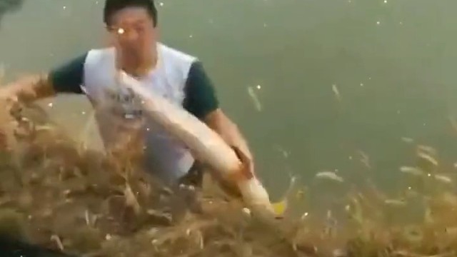 钓鱼界的天花板忍一时越想越气