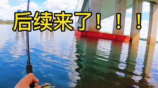 钓鱼界的天花板完全放弃抵抗